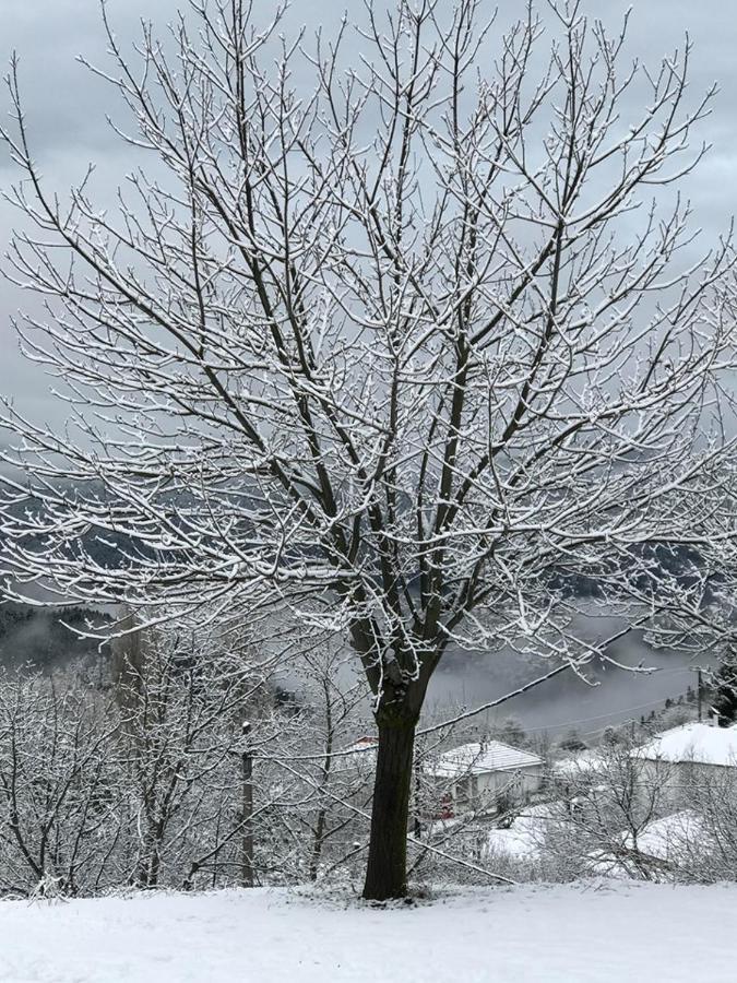Mikro Katafygio Stavli Esterno foto
