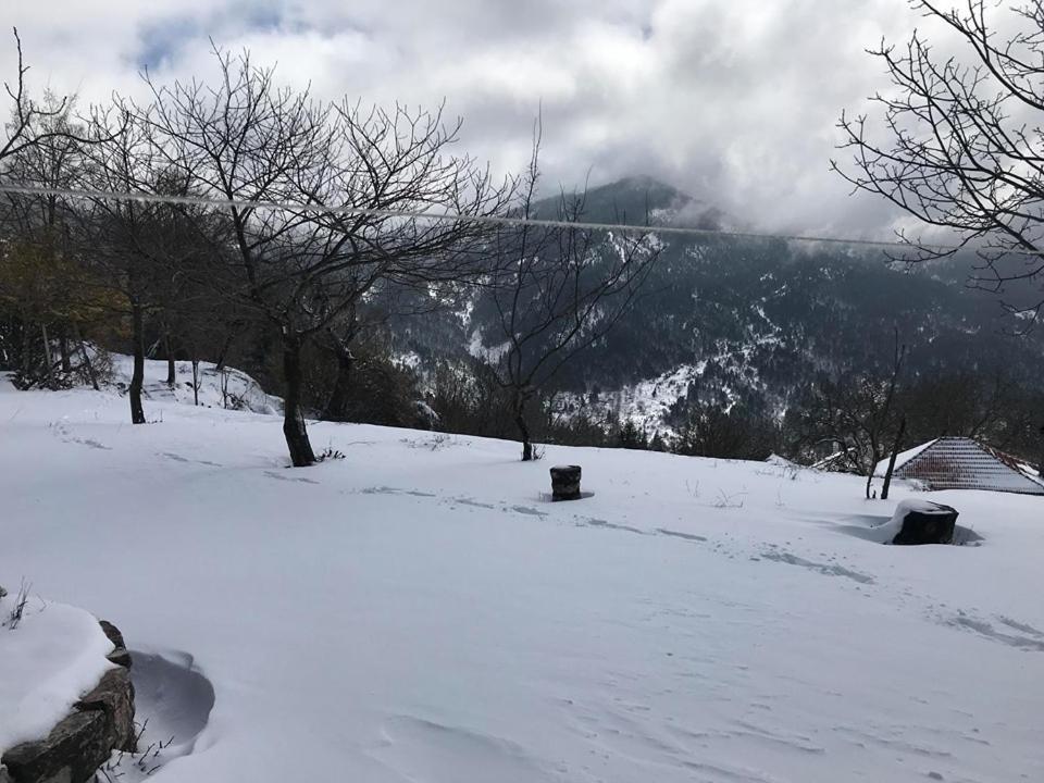 Mikro Katafygio Stavli Esterno foto